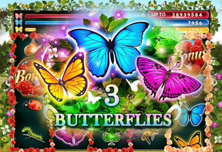3 Butterflies